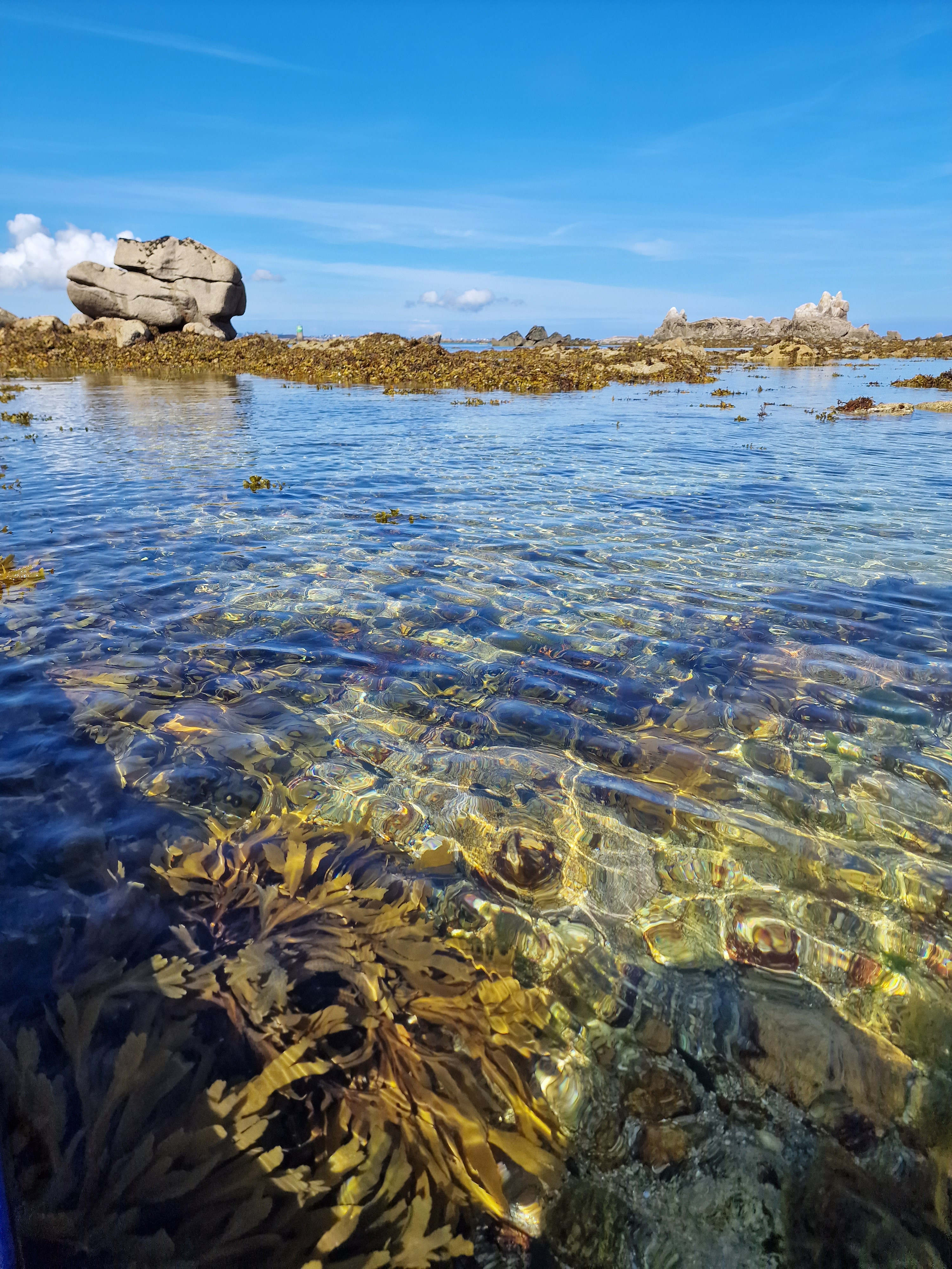 The foreshore at low tide