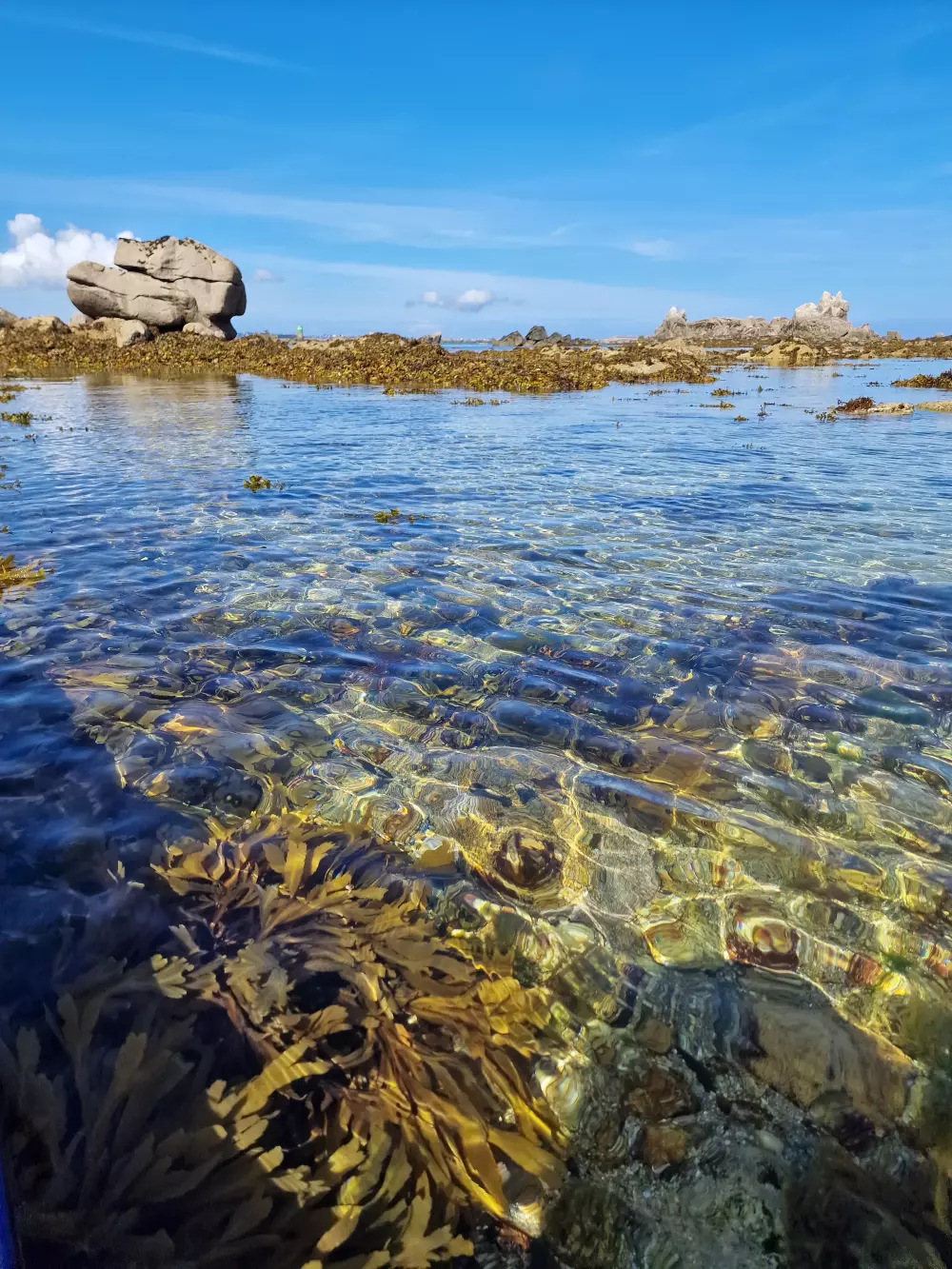 L'estran à marée basse