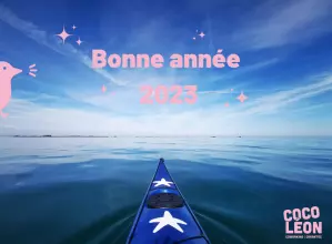 Bonne année 2023