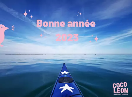 Bonne année 2023 !