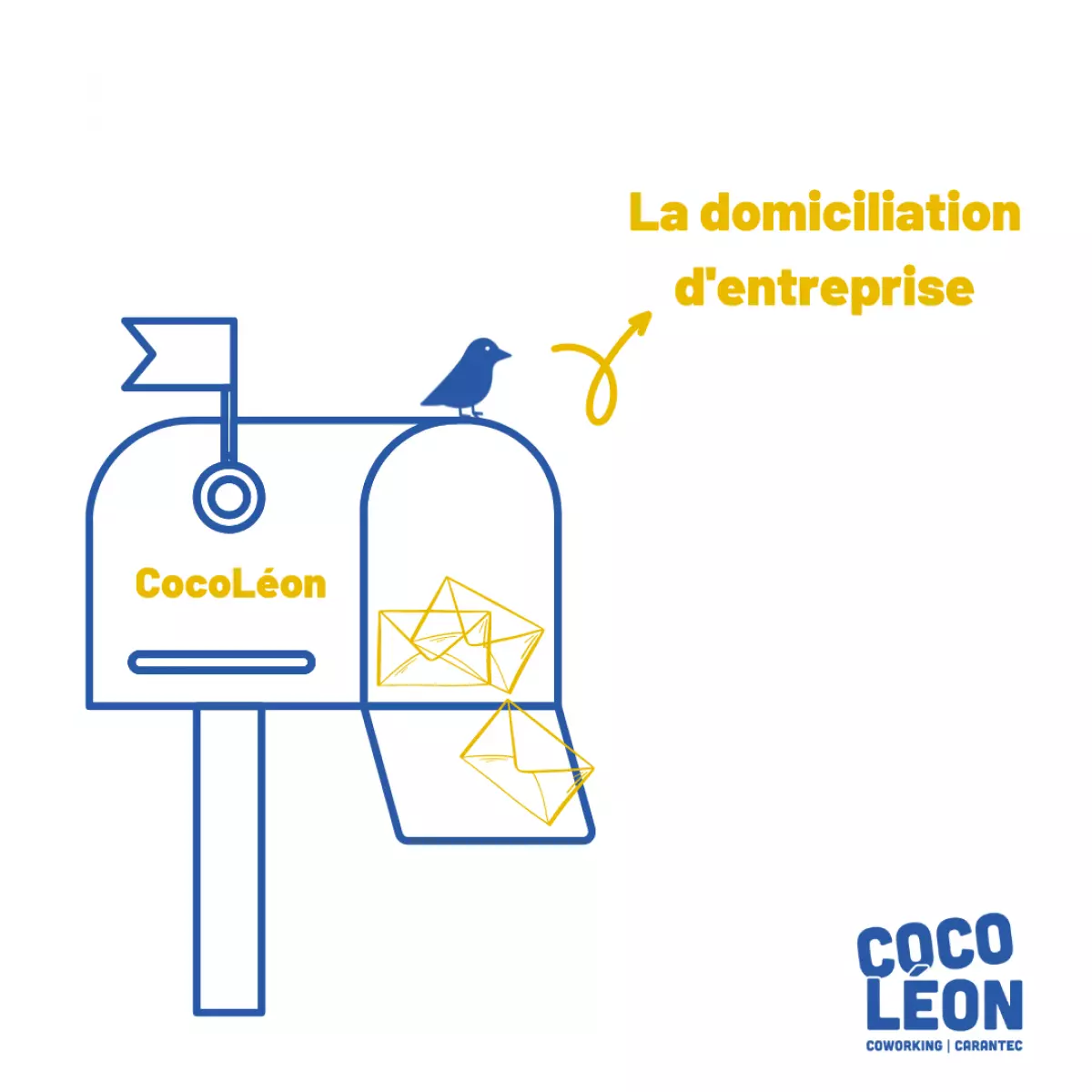 The business domiciliation