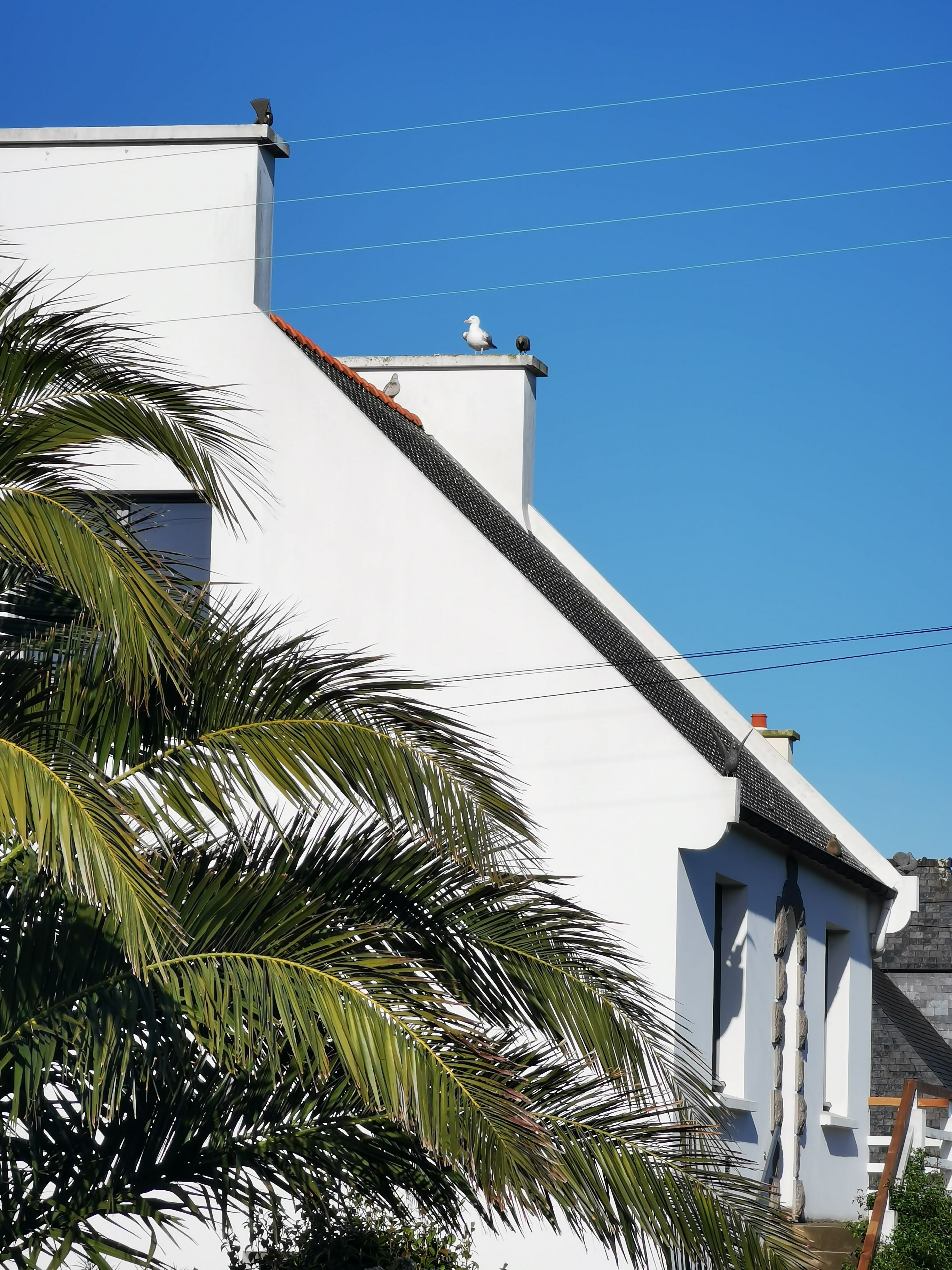 The Granite Bird House