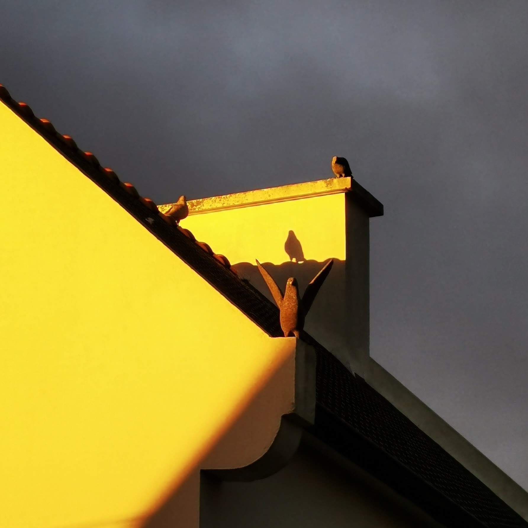 The granite birds of the Carantec coworking space