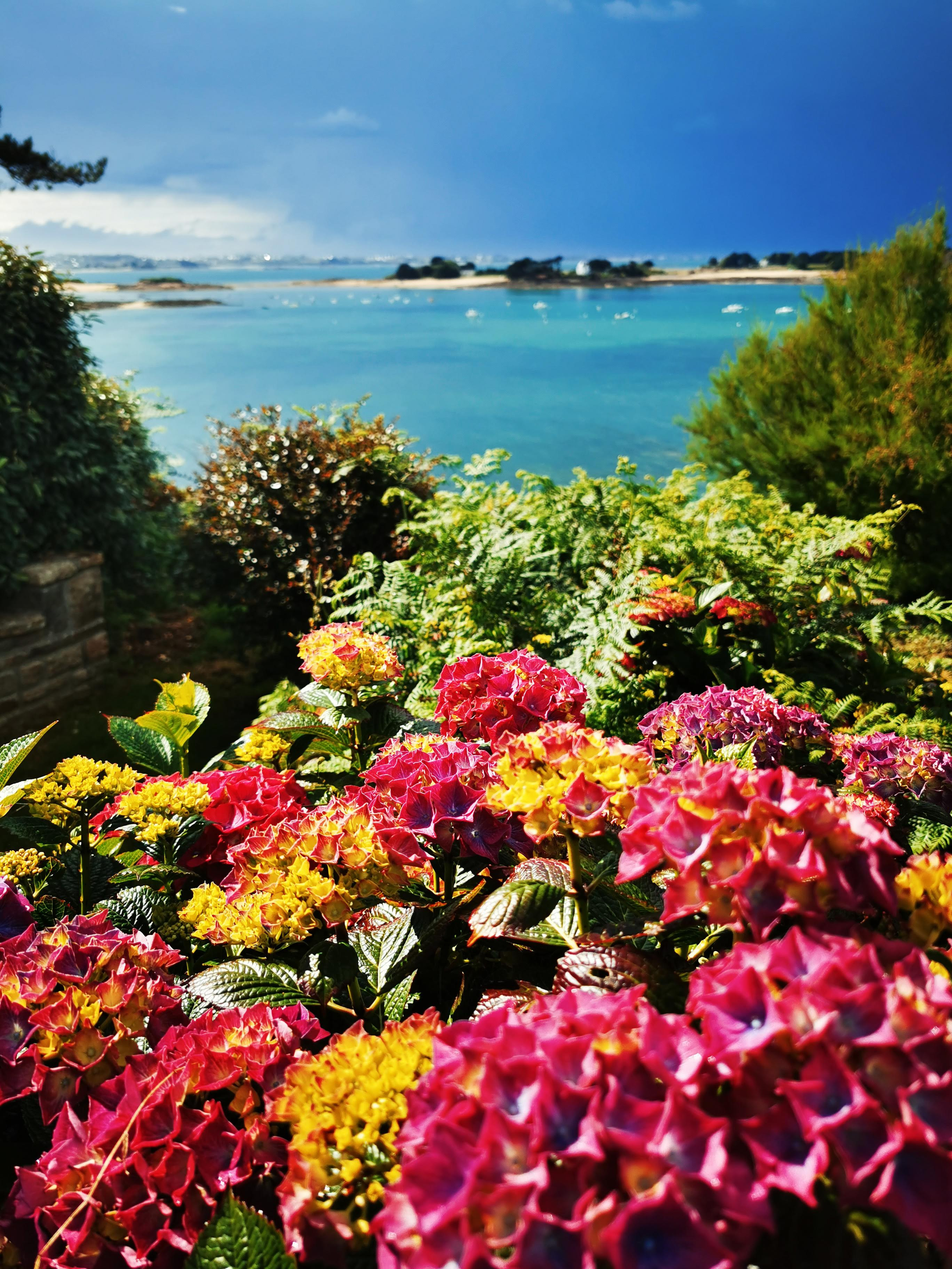 Stormy skies over the sheep pass